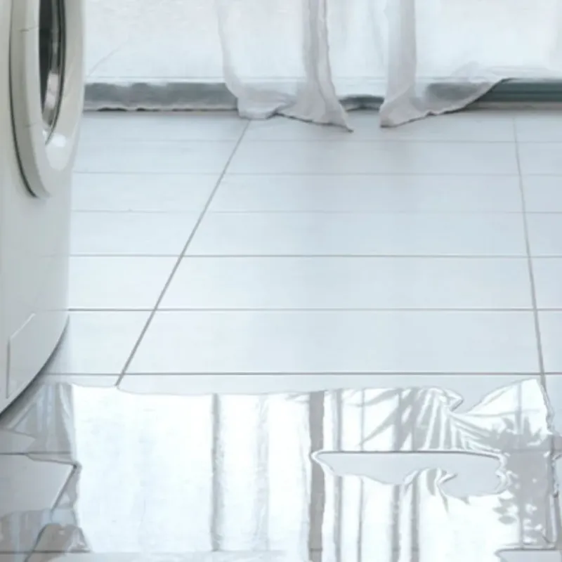 Appliance Leak Cleanup in Albany, CA